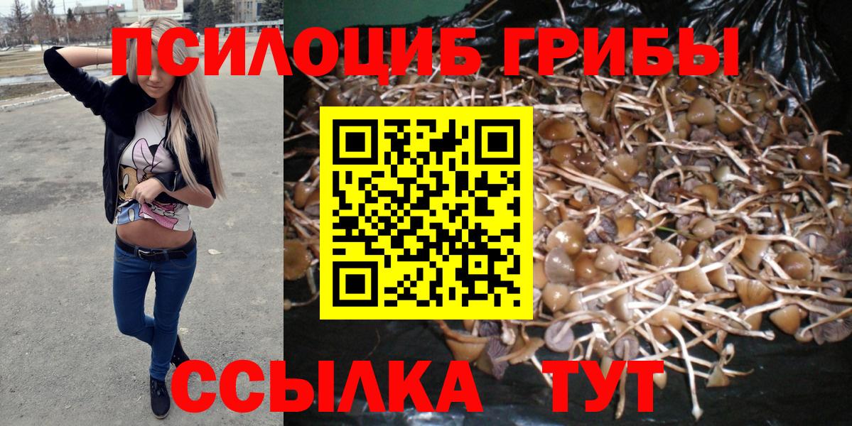 Кимры  Псилоцибиновые грибы мухоморы  Вход с VPN 