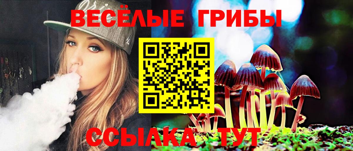 Псилоцибиновые грибы ЛСД Кимры